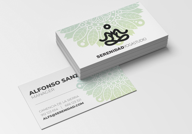 TARJETA VISITA BASIC +S