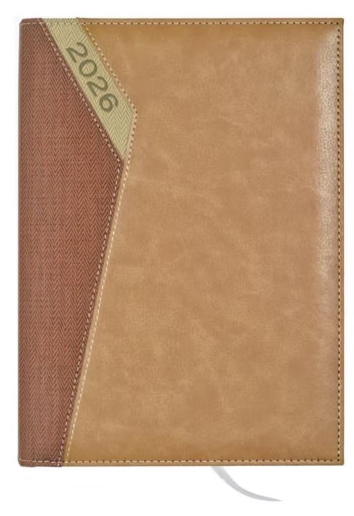 AGENDA D/PAG LYON 17X24 CMS +S