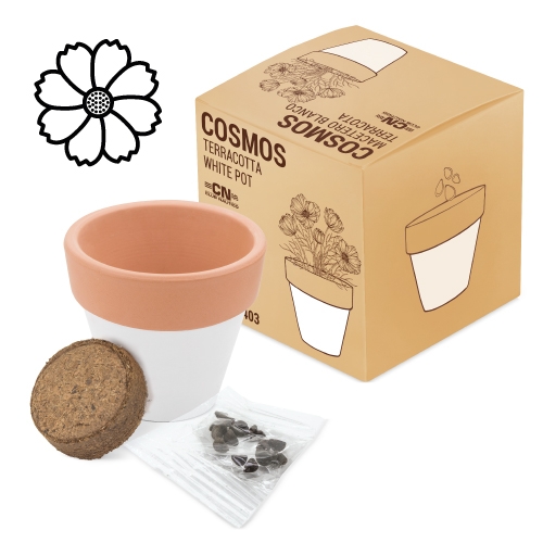 Maceta terracota &quot;White&quot;+S