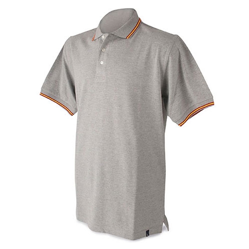 Polo bandera hombre pierre delone gr+S