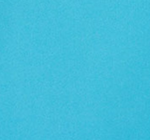 BLUSA MUJER BUHO OWL+S